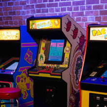 Load image into Gallery viewer, Dig Dug Quarter Scale Arcade Cabinet