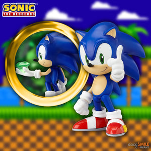 Sonic the Hedgehog Nendoroid Action Figure - ReRun
