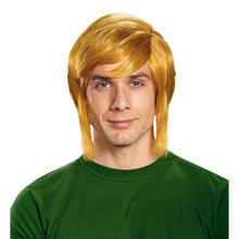 Load image into Gallery viewer, The Legend of Zelda Link Costume Adult Wig